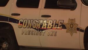 Ba chú chó được giải cứu khỏi giá rét, một con được tìm thấy đã chết trong cuộc điều tra ngược đãi động vật 8 Ba chú chó được giải cứu khỏi giá rét, một con được tìm thấy đã chết trong cuộc điều tra ngược đãi động vật