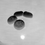 Tàu NASA Crew-11 đáp xuống sau khi trở về từ ISS