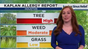 Sốt Cedar ở Houston: Khác biệt với dị ứng theo mùa