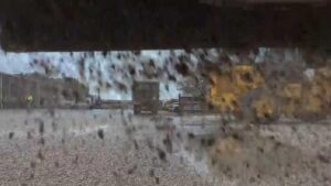 Nhân viên giao thông Houston đối phó bão tuyết, liệu có hiệu quả?