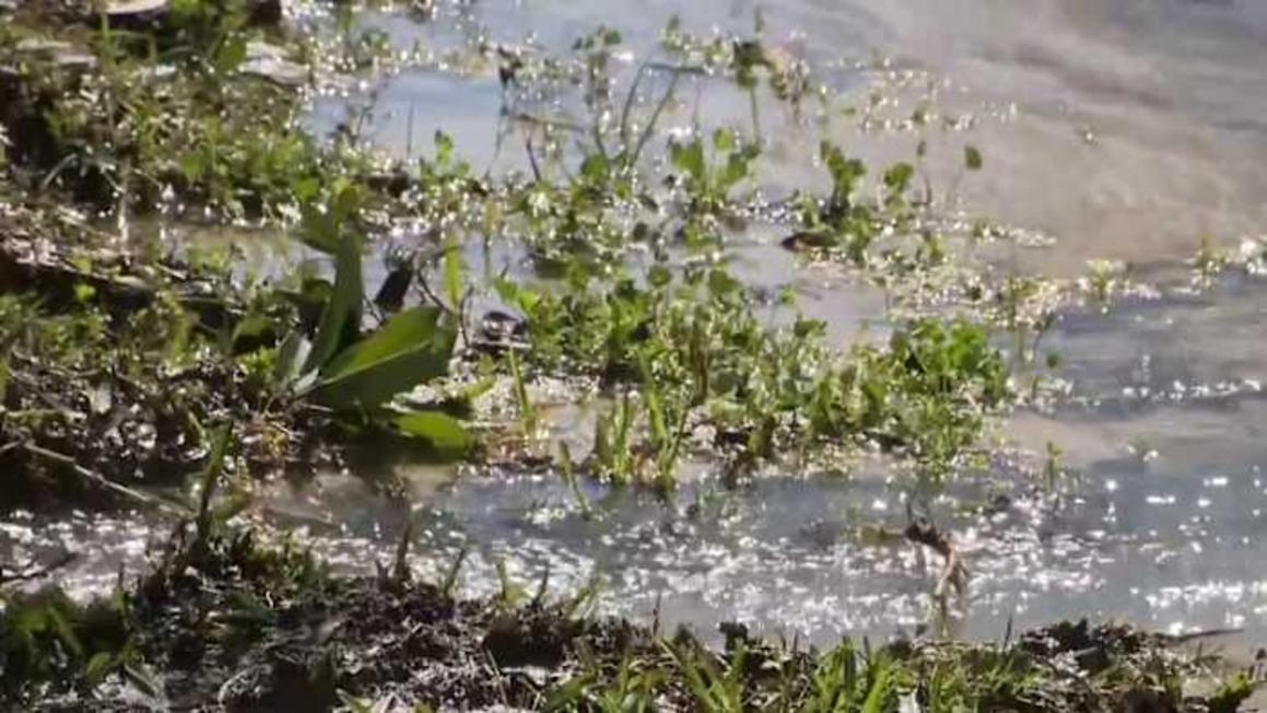 Cảnh báo của khán giả KPRC dẫn đến hành động xử lý vụ rò rỉ nước lớn ở Westchase 1