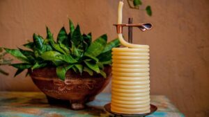 Năm Mới, Xanh Hơn: 20 Món Đồ Khởi Đầu Cho Kế Hoạch Bảo Vệ Môi Trường 17 Năm Mới, Xanh Hơn: 20 Món Đồ Khởi Đầu Cho Kế Hoạch Bảo Vệ Môi Trường