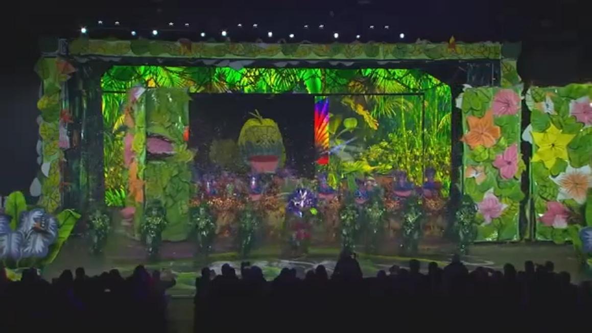 18340486 010126 wpvi downtowners mummers img