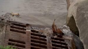 Người dân Houston bức xúc vì tình trạng rò rỉ nước kéo dài 36 Người dân Houston bức xúc vì tình trạng rò rỉ nước kéo dài