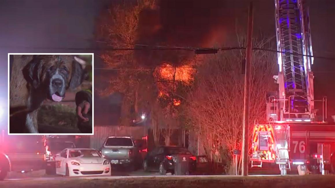 18372675 Untitled 1 ktrk fire pup rescue img