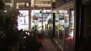 Sản phẩm dầu lạ gây mất điện ở Burlingame, tiểu bang California