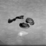 4 phi hành gia đáp xuống Trái Đất, hạ cánh tại Thái Bình Dương gần San Diego