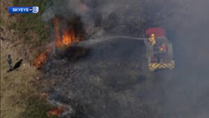 Người đàn ông nhập viện sau khi bị thương trong vụ cháy cỏ ở Quận Harris