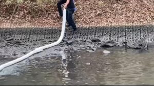 Dầu diesel từ vụ cháy xe tải chảy xuống vịnh Buffalo Bayou