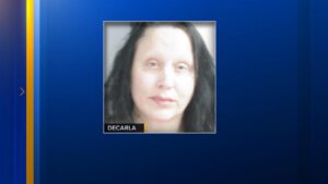 Bà mẹ bị bắt vì bỏ con 2 tháng tuổi trong xe hơi đi mua sắm