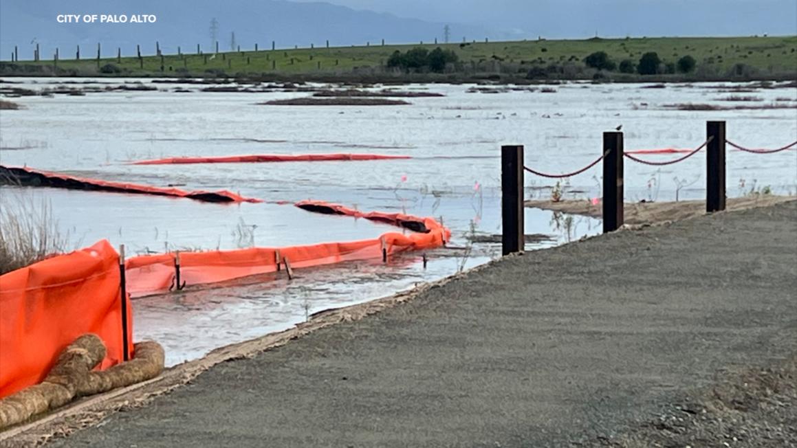 18479150 DIDIT001 Horizontal Levee WEB