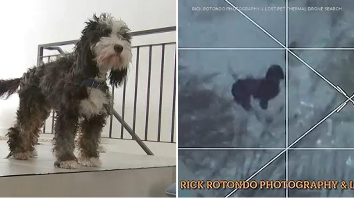 18487724 012726 wpvi missing dog drone rescue img