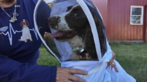 Tổng Thống Donald Trump: Mỹ sẽ 'quản lý' Venezuela 23 Tổng Thống Donald Trump: Mỹ sẽ ‘quản lý’ Venezuela