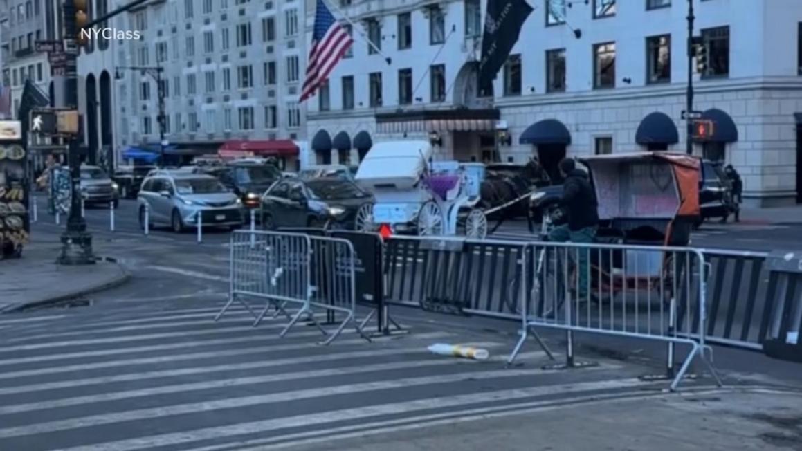 Ngựa xe kéo chạy loạn trên đường phố New York 1