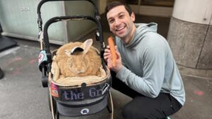 Quán cà phê thỏ tại San Francisco