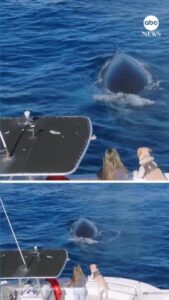 Biểu tình ở Greenland và Đan Mạch vì chính sách thuế quan của Tổng Thống Donald Trump