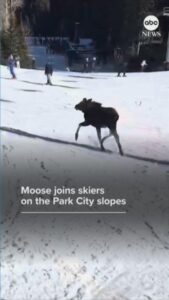 Tuyết rơi dày ở Bờ Đông, một cơn bão mùa đông khắc nghiệt đang hoành hành