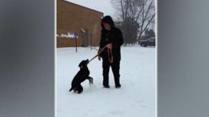 Bão mùa đông hoành hành, ít nhất 42 người chết trên toàn quốc 8 Bão mùa đông hoành hành, ít nhất 42 người chết trên toàn quốc