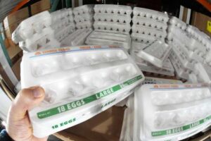 444,000 quả trứng được chuyển đến các ngân hàng thực phẩm ở Houston