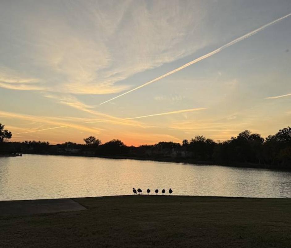 33L32PX4P5CDPIDHIQGTDZMMDY