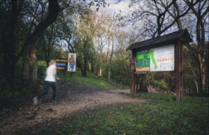 Chào đón năm 2026 với các sự kiện thú vị tại San Antonio