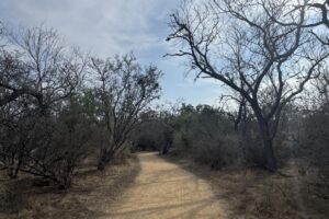 San Antonio chuẩn bị xây dựng đoạn đường mới của Leon Creek Greenway