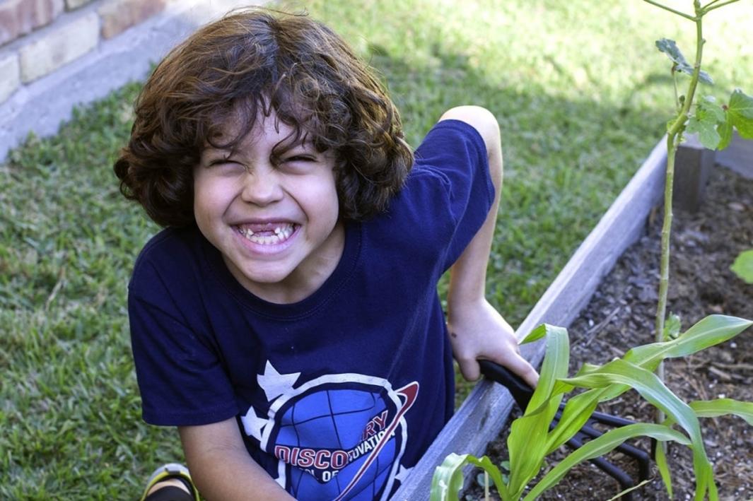 Trường Discovery School of Innovation mở chương trình cho trẻ 4 tuổi vào mùa thu 1 404167