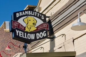 Nhạc sống, chiếu phim: 5 sự kiện cuối tuần tại Denton