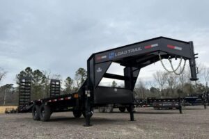 Crazy Trailer World dời địa điểm đến Willis