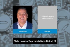 Ứng cử viên Đảng Dân Chủ tranh cử vào Hạ viện Texas, Khu vực 19