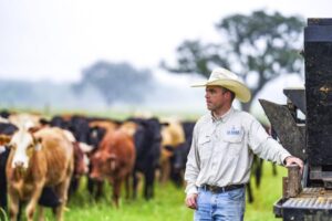 Lễ hội Chó và Lễ hội khiêu vũ: 12 sự kiện đáng mong đợi tại Bắc San Antonio vào tháng Hai, tháng Ba 4 Lễ hội Chó và Lễ hội khiêu vũ: 12 sự kiện đáng mong đợi tại Bắc San Antonio vào tháng Hai, tháng Ba