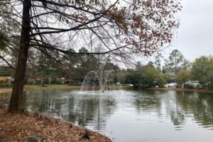 Nghiên Cứu: The Woodlands Cần Thêm 2 Khách Sạn Nữa