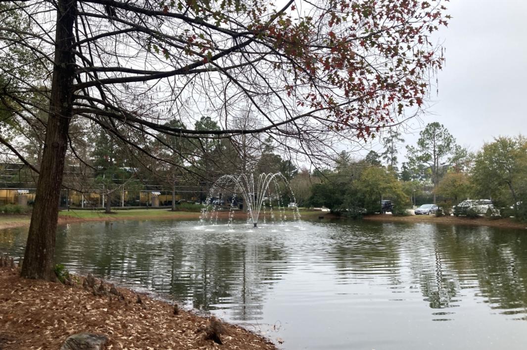 Nghiên Cứu: The Woodlands Cần Thêm 2 Khách Sạn Nữa 1 406306