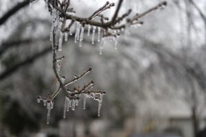 Richardson thông báo đóng cửa cơ sở thành phố cuối tuần vì thời tiết mùa đông khắc nghiệt