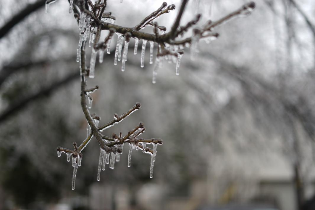 Richardson thông báo đóng cửa cơ sở thành phố cuối tuần vì thời tiết mùa đông khắc nghiệt 1 406504