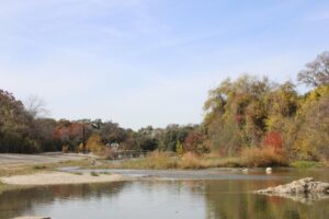 Georgetown Lên Kế Hoạch Chiến Lược Rừng Đô Thị Toàn Thành Phố