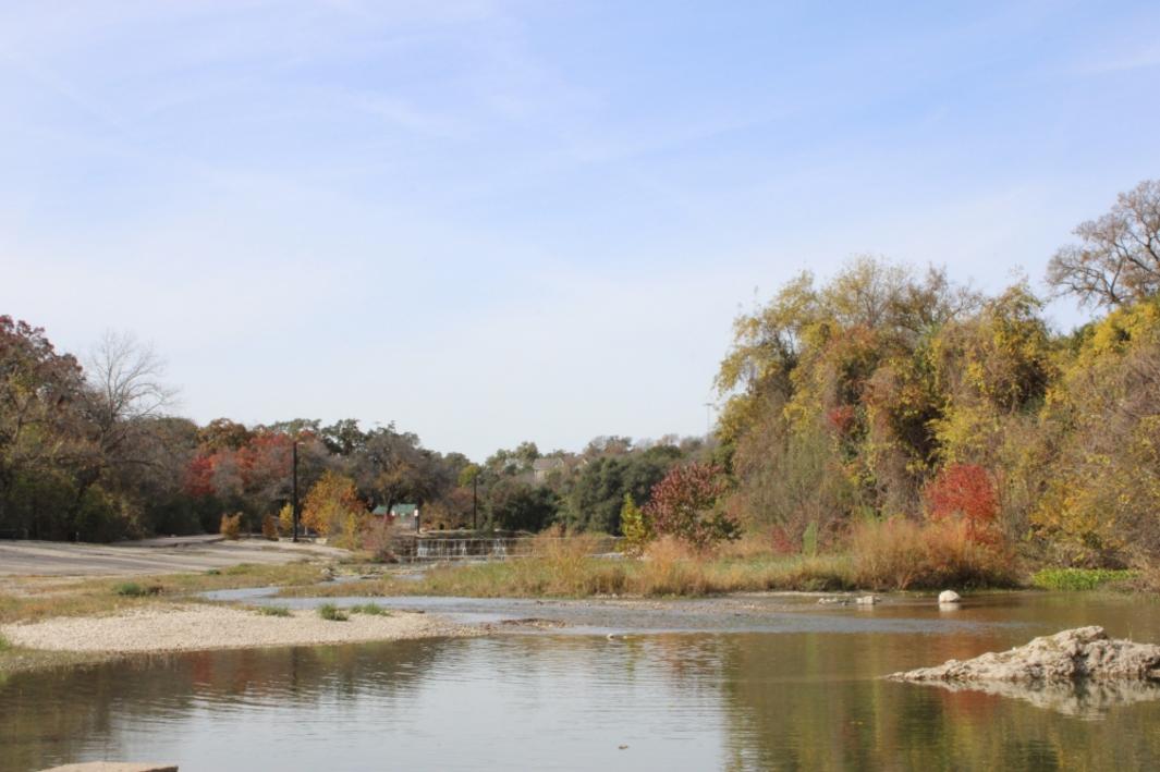 Georgetown Lên Kế Hoạch Chiến Lược Rừng Đô Thị Toàn Thành Phố 1 406784