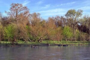 Bastrop sửa đổi phạm vi dự án ổn định sông trị giá 3,2 triệu đô la