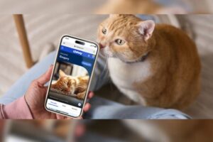 Chewy Vet Care mở thêm phòng khám thú y mới tại Meyerland