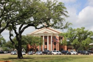 Bà Paula Taylor đắc cử ghế Hội đồng Thành phố Katy