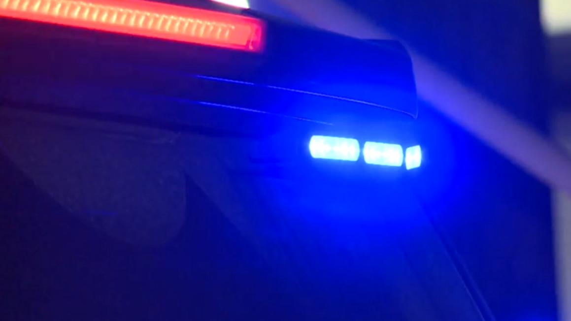 7d5bf595 d1ab 41fa 9b24