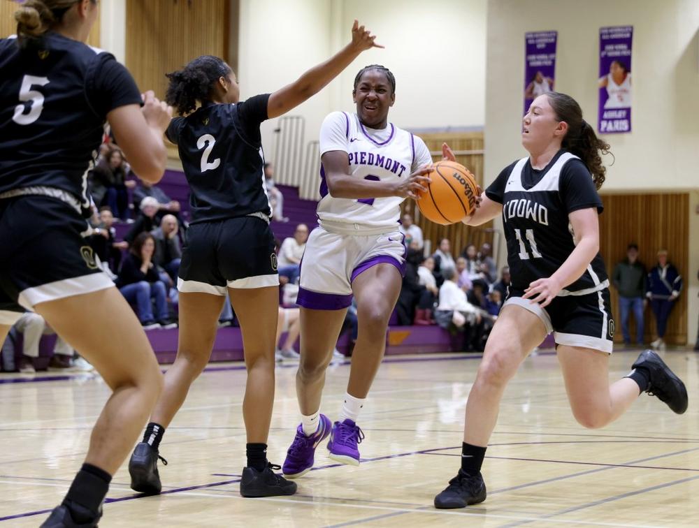 BNG L PIEDHOOPS 0113 1