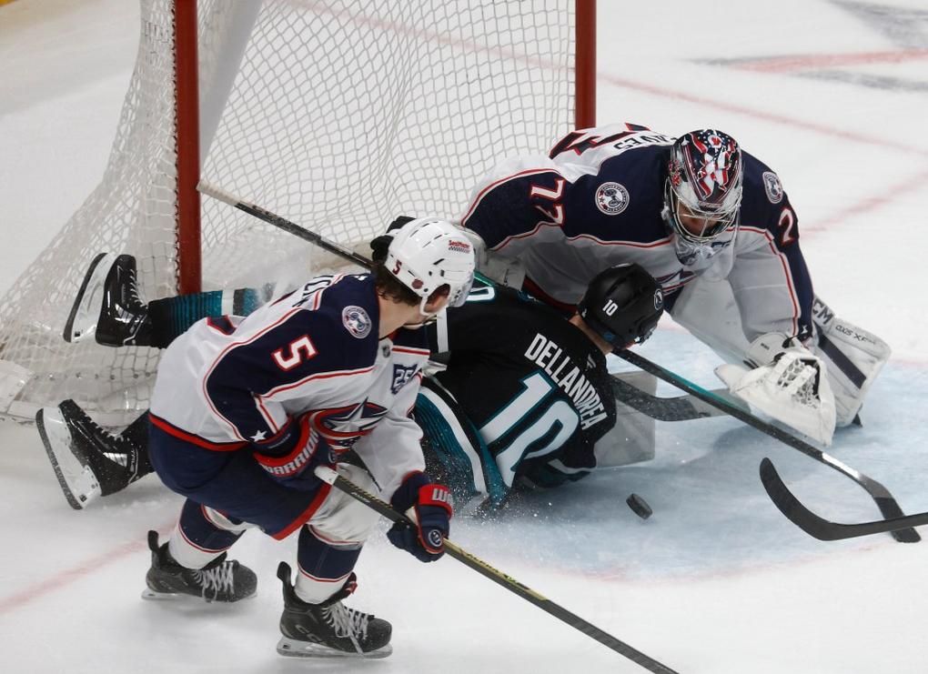 BNG L SHARKS 0107 13