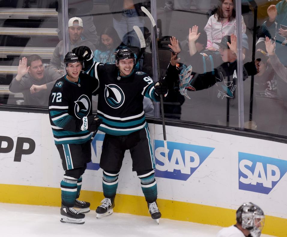 BNG L SHARKS 1029 18