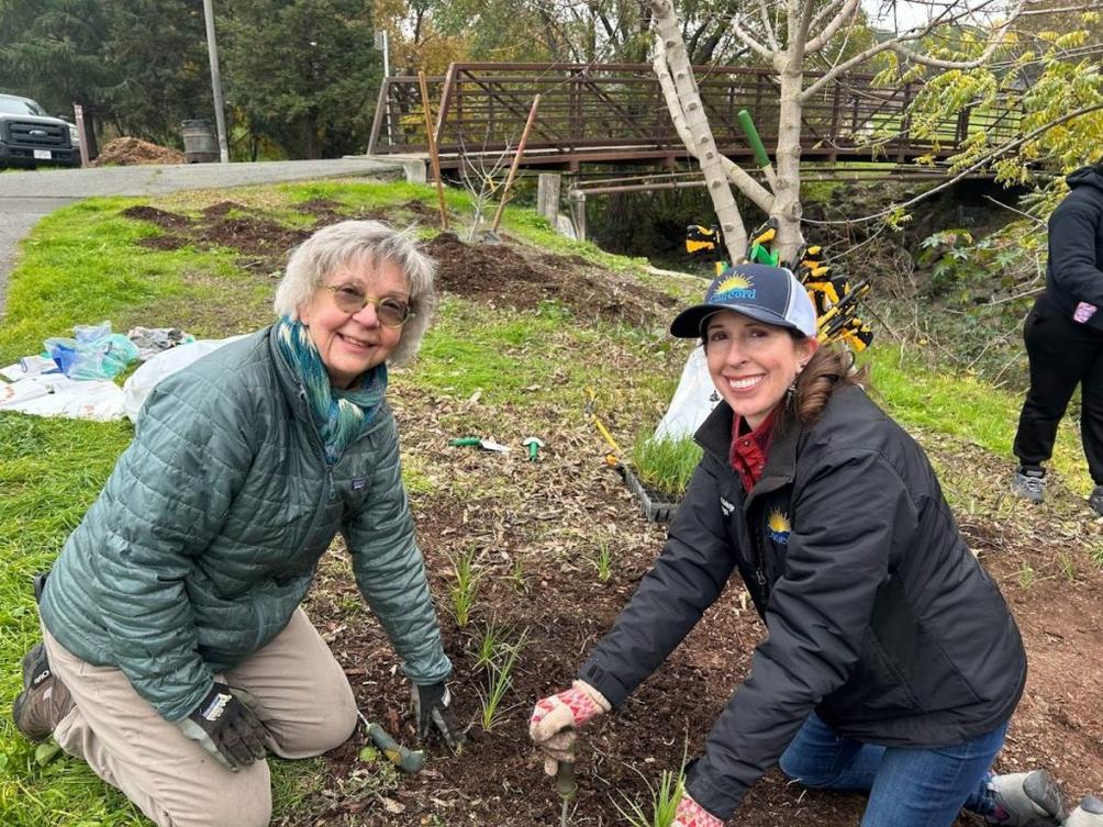 Hệ sinh thái Contra Costa được phục hồi từng loại cây bản địa 1 CTR L CCYJ 0130 9 1
