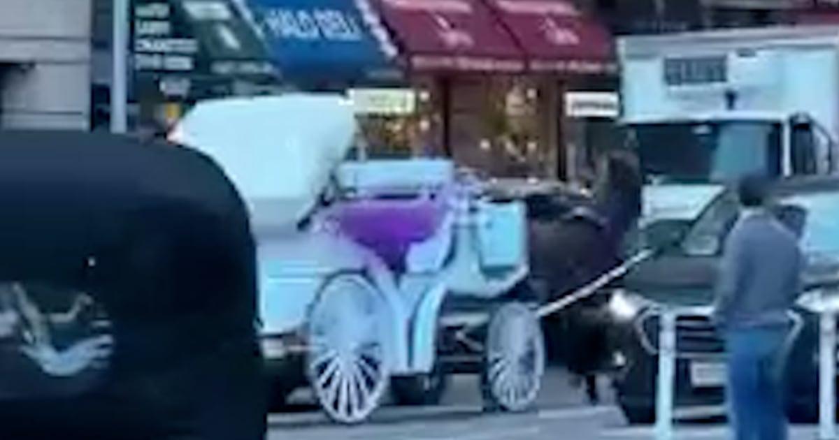 Ngựa kéo xe hoảng loạn trên đường phố New York 1 Carriage Horse Thumb Vert lg7jae