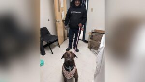 Chú Chó Lạc Mất Bốn Năm Được Đoàn Tụ Với Chủ Nhờ ACCT Philly