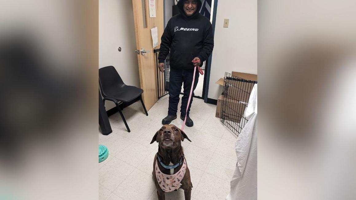 Copy of 1200 x 675 Template 50 1