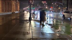 Vùng Vịnh đón năm mới 2026 bằng mưa và thời tiết se lạnh