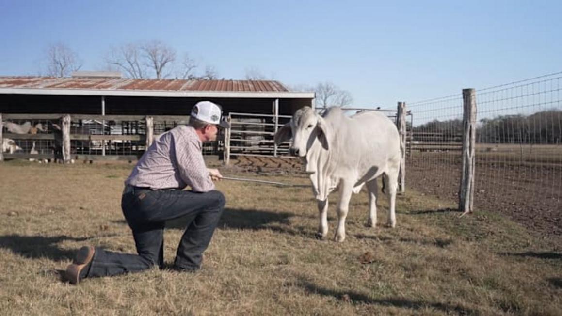 D6E4A2ID5FCMZPGVOIGQ472XQY